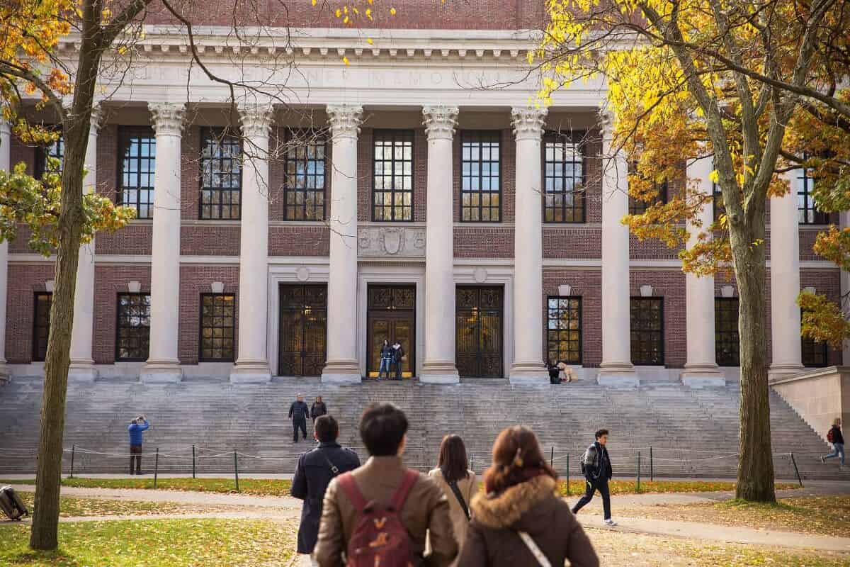 Harvard University Ties