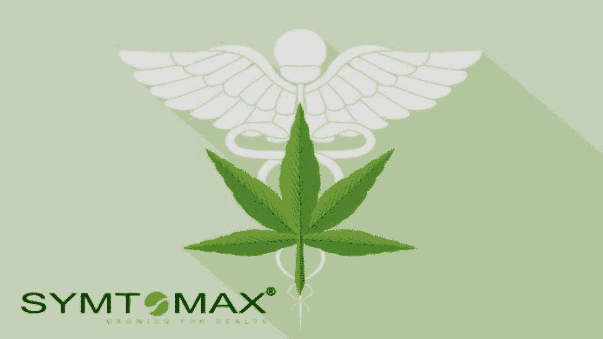 Symtomax Appoints Former Portugal State Secretary of Health as Its BOD